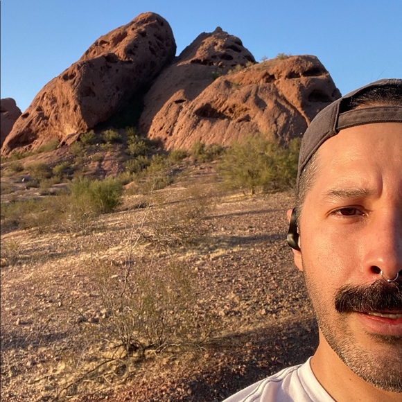 Meet your Posher, Duke - Picture 7 of 9